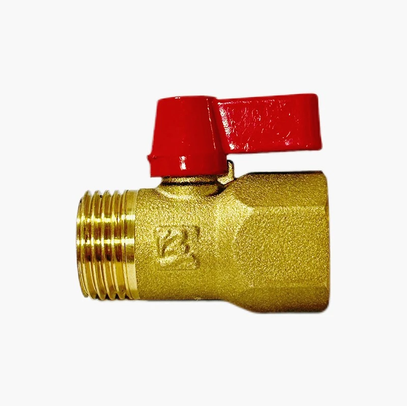 product-800-799 product-800-799